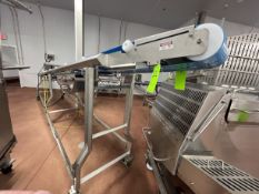2020 SMALLEY PORTABLE INCLINE CONVEYOR WITH TROUGHING IDLERS, S/N 28219-02, APPROX. 300 IN. L X 12