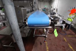 PORTABLE S/S CONVEYOR,