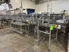 Straight Section of Conveyor, Aprox. 40 ft. L,  with S/S Lanes, Mounted on S/S Frame (LOCATED IN