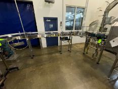 S/S Product Conveyor, with Guide Rails, Aprox. 11 ft. L (LOCATED IN WAVERLY, IA)