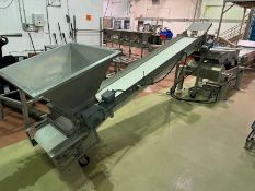 Infeed Incline Conveyor, with S/S Infeed Hopper, with S/S Rotary Valve, Overall Length: Aprox. 11