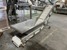 Coastal Equipment Corp. S/S Infeed Hopper, with Incline, Incline Height: Aprox. 60