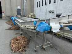 2001 ODIM S/S Incline Conveyor