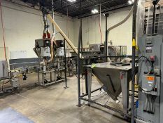 S/S Incline Auger Feeder, with S/S Hopper, with Incline Auger & End Diversion Valve with Drive