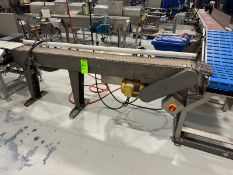 Straight Seciton of Product Conveyor, Conv. Dims.: Aprox. 88