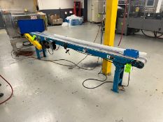 Hytrol Straight Section of Case Conveyor, S/N 601923, Overall Length: Aprox. 129