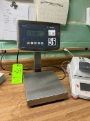 Sartorius S/S Platform Scale, M/N Combics 1, with Digital Display