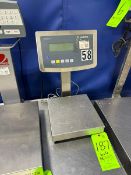 Sartorius S/S Platform Scale, M/N Combics 1, with S/S Platform & Digital Display