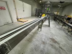 Straight Section of S/S Dual Lane Conveyor, Overall Length: Aprox. 35 ft. L, Mounted on S/S Legs