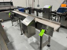 Straight Section of S/S Conveyor, Conv. Dims.: Aprox. 116