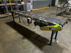 Straight Section of Case Conveyor, Dims.: Aprox. 117