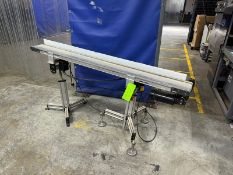 (2) Sections of Straight Conveyor, 1-Section Aprox. 72