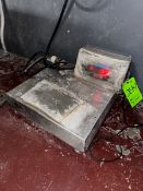 Doran S/S Platform Scale, M/N 8000, with S/S Platform & Digital Display