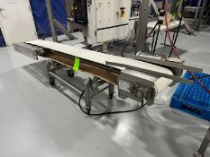 Straight Section of Conveyor, Conv. Dims.: Aprox. 20