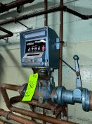 Neptune In-Line Meter