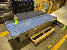 Straight Section of Conveyor, Conv. Dims.: Aprox. 79