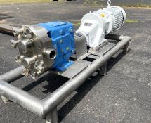 Waukesha S/S Sanitary Positive Displacement Pump, Model 030, S/N 202400-97 with Reliance 3 hp