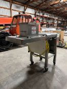 Aprox. 300 kg (661 lbs.) Capacity Per Minute Slide Curd Mill, S/N 125-1, 304 Stainless Frame, 4