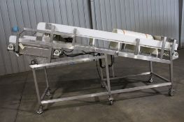 Frozen Block Conveyor, 34