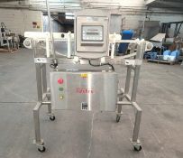 Safeline S/S Sanitary Metal Detector, Model SL2000, S/N 21040-05 with 6 x 4 Apperature Opening,