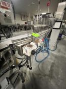 STRAIGHT PRODUCT CONVEYOR, APPROX. 5 IN. W X 110 IN. L