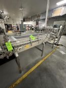 ACCUMULATION CONVEYOR WITH SINGLE FILING CONVEYOR, APPROX. 44 IN. W ACCUMULATION BELT SECTION