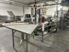 GLASS JAR ACCUMULATION AND INFEED CONVEYOR, INFEED WDITH APPROX: 66 IN. X 48 IN., SINGLE FILING