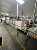 2012 S/S COOLING TUNNEL, APPROX. DIMMS: 50' x 8', APERTURE APPROX. 50 IN. W X 10 IN. H