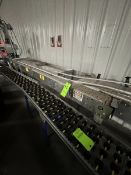STRAIGHT SECTION OF PRODUCT CONVEYOR, APPROX. 5 IN. W X 128 IN. L
