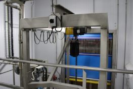 S/S BULK BAG UNLOADING STATION WITH CHAIN HOIST