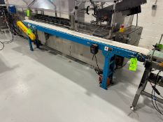 Straight Section of Case Conveyor, Conv. Dims.: Aprox. 129