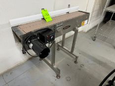 Globaltek Straight Section of Product Conveyor, M/N CON-0475P, S/N 210475P011, 120 Volts, Aprox. 45