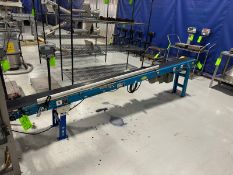 Hytrol Slight Incline Straight Secton of Case Conveyor, S/N 601925, Conveyor Dims.: Aprox. 130