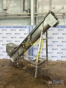 S/S INCLINE AUGER CONVEYOR