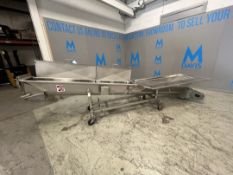 MTC PORTABLE S/S DOUGH AUGER CONVEYOR, MODEL MTCS 19-12,