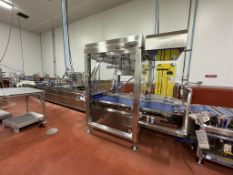 2019 REISER / REPAK HORIZONTAL FORM/FILL/SEAL THERMOFORMER LINE WITH WEBER PICK AND PLACE UNIT,