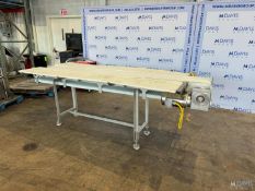 STRAIGHT SECTION OF S/S PACK OFF CONVEYOR