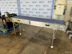 STRAIGHT SECTION OF S/S CONVEYOR