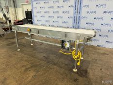 STRAIGHT SECTION OF S/S CONVEYOR