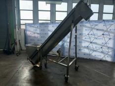 S/S INCLINE CONVEYOR