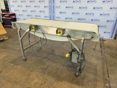 STRAIGHT SECTION OF S/S CONVEYOR