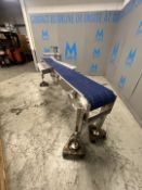 CONVEYOR WITH PRODUCT DIVERT ARM
