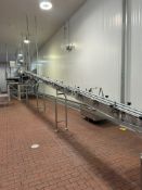 INCLINE CONVEYOR FROM CHECK WEIGHER