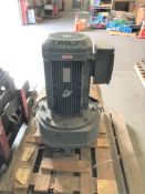 Eurodrive Agitator Gear Motor 1760 rpm, 42 rpm outputl