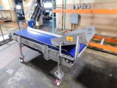 Stainless Belt Conveyor - Stainless belt conveyor (80