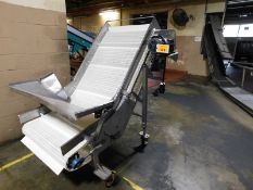 Stainless Elevating Conveyor - Stainless elevating conveyor (60