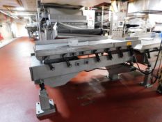 Stainless Vibratory Feeder - Stainless vibratory feeder (9'l x 52
