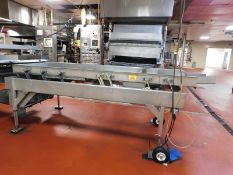Stainless Vibratory Feeder - Stainless vibratory feeder (125