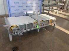 Dual Section Conveyor, with Aprox. 30