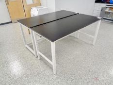 (2) Fisher Scientific 6' Wide Lab Benches